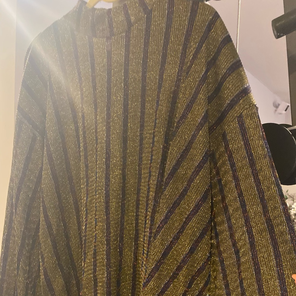 Zara shiny top